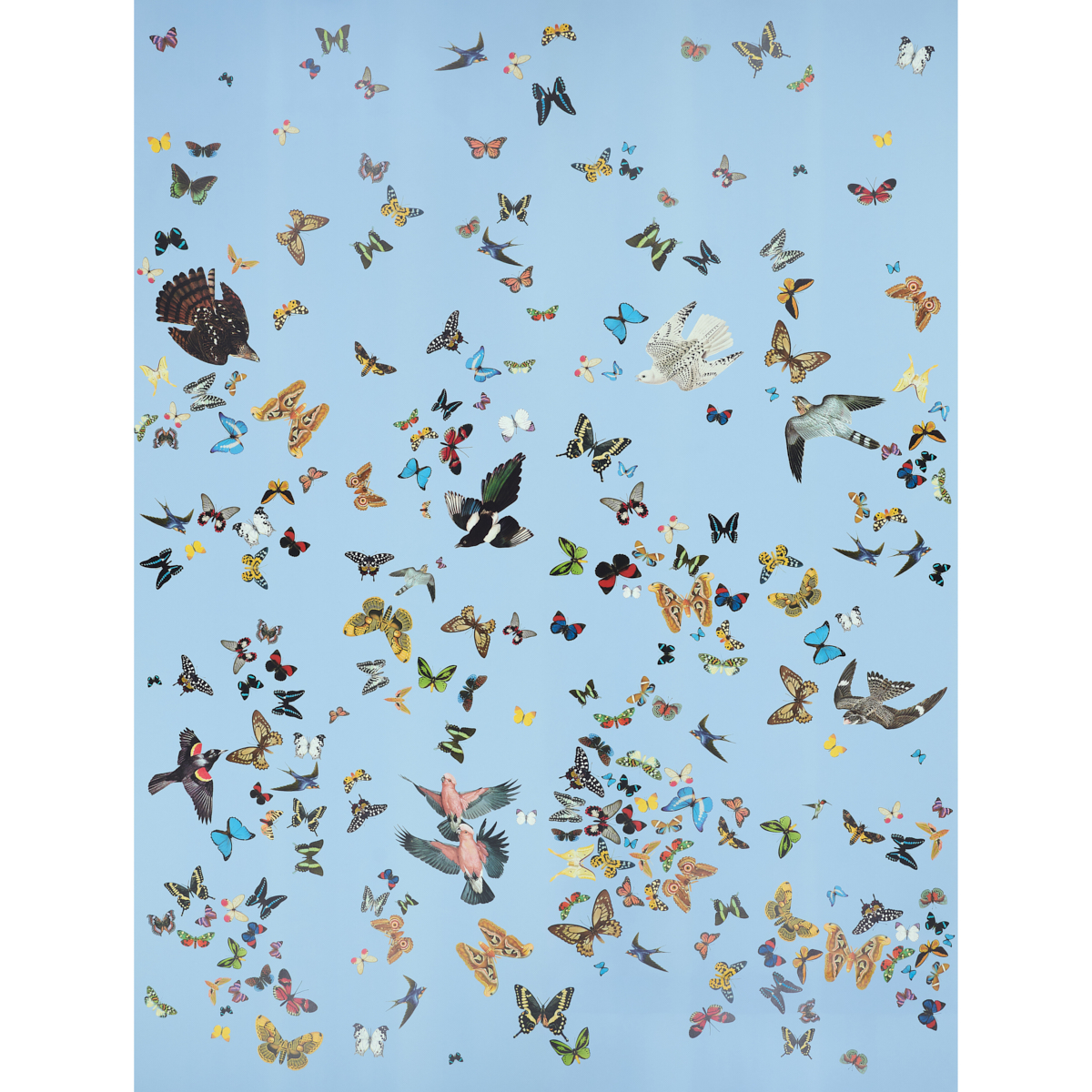 Queen’s Flight Panel Set - Sky Wallpapers | Schumacher